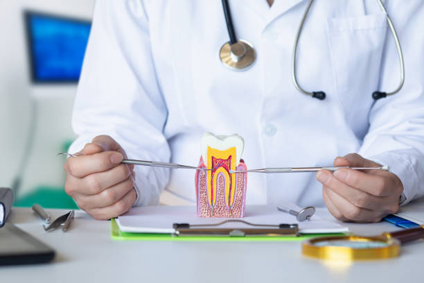 Best Tooth Infection Emergency Dentist  in Longbranch, WA